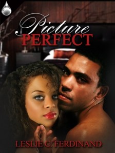 Picture Perfect cover - click to see on Goodreads Picture Perfect cover - click to see on Goodreads