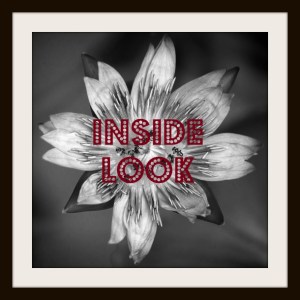 Inside Look logo by SJ