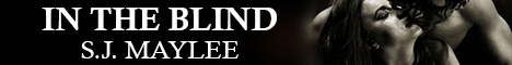 intheblindbanner