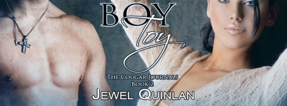 BoyToy-evernightpublishing-jayaheer2015-banner1 (2)