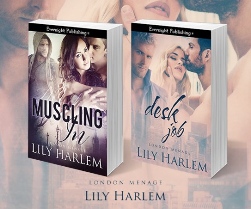 Desk-Job-evernightpublishing-JayAheer2016-series-evernightbanner-1