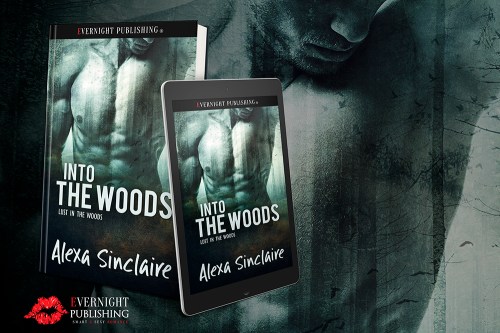 into-the-woods-evernightpublishing-sept2016-ereader-small